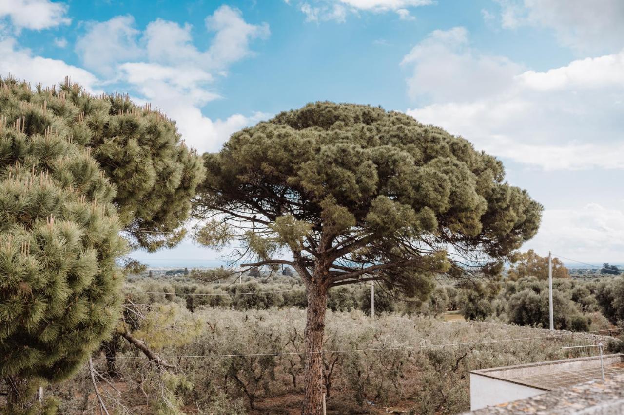 Masseria Casamassima Agriturismo Villa Остуни Екстериор снимка