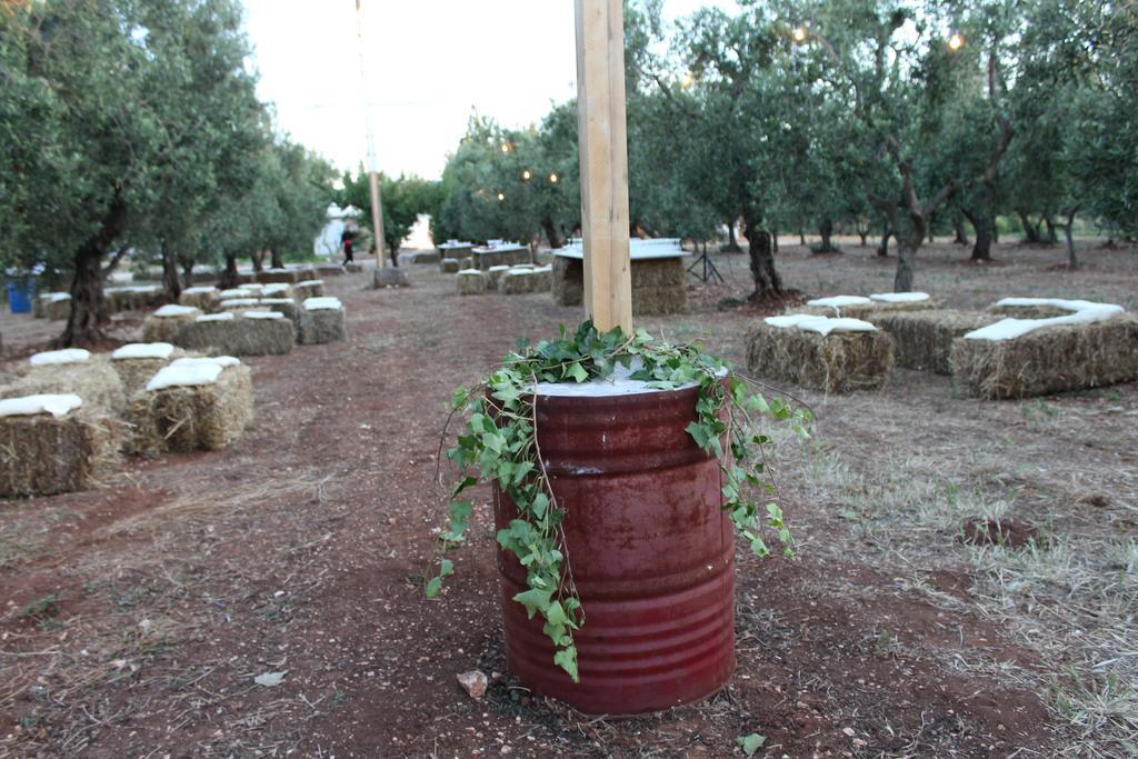 Masseria Casamassima Agriturismo Остуни Екстериор снимка